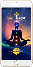 Genius Insight Software